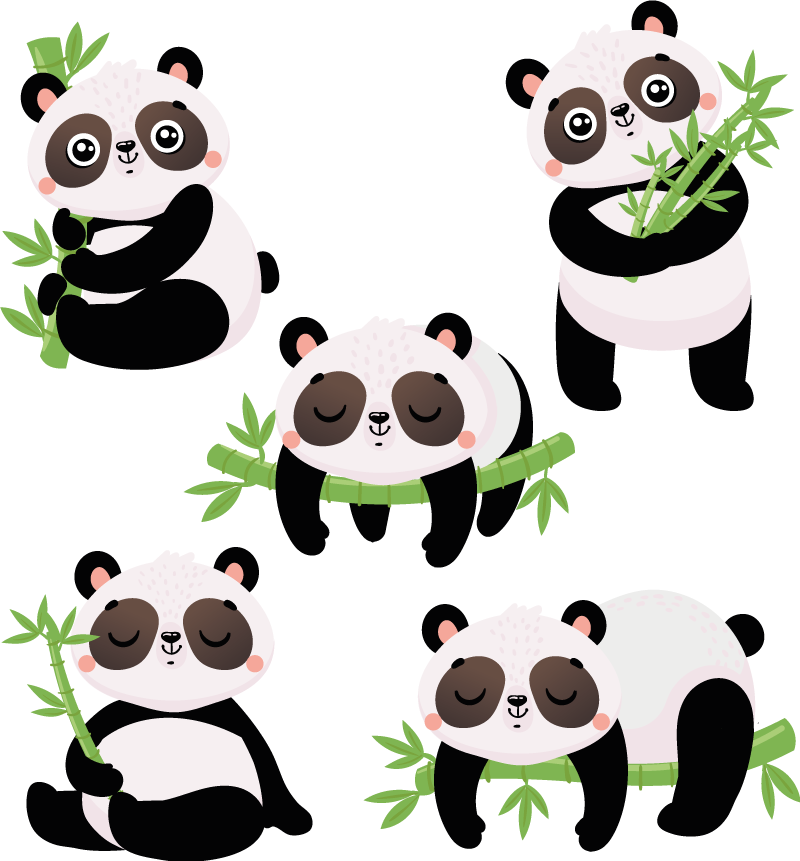 Vinil com animais selvagens Panda realista com uma planta - TenStickers