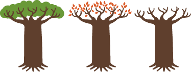 Tenstickers Sticker Evolutie Leven Boom tenstickers kopen in de aanbieding