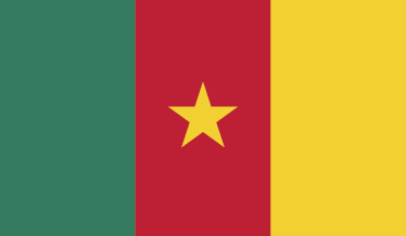 Sticker décoratif drapeau Cameroun - TenStickers