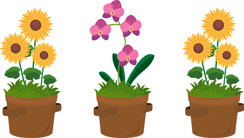 Vinilo flores Orquídea y flor del sol - TenVinilo