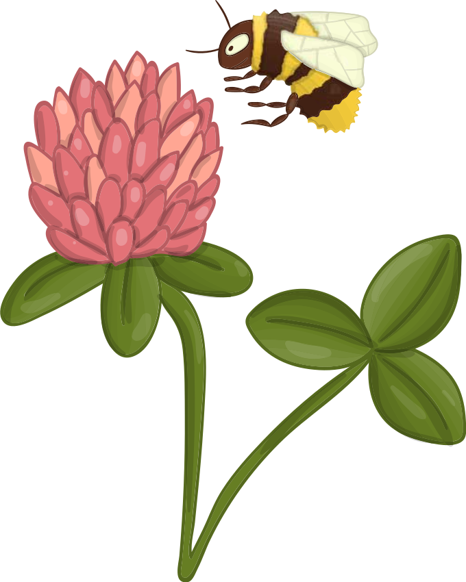 Arı çiçek duvar çıkartması ile karanfil - TenStickers