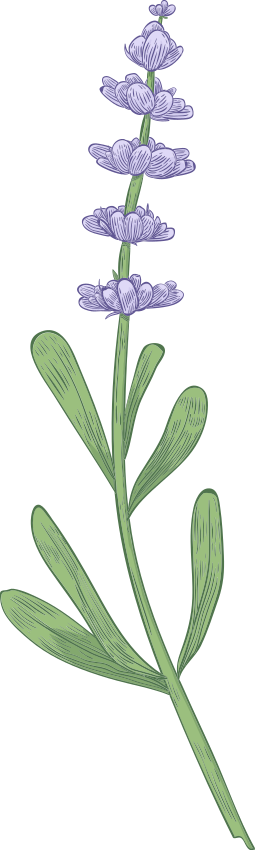 Simple long clove flower wall sticker - TenStickers