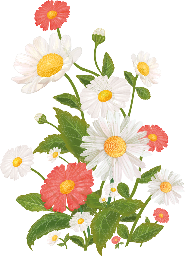 Autocolantes flores Margaridas coloridas - TenStickers