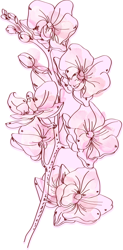 Adesivo decorativo flores Ilustração de orquídea rosa - TenStickers