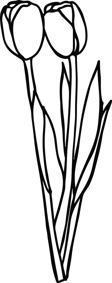 Samolepka na dveře dva nakreslené tulipány - TenStickers