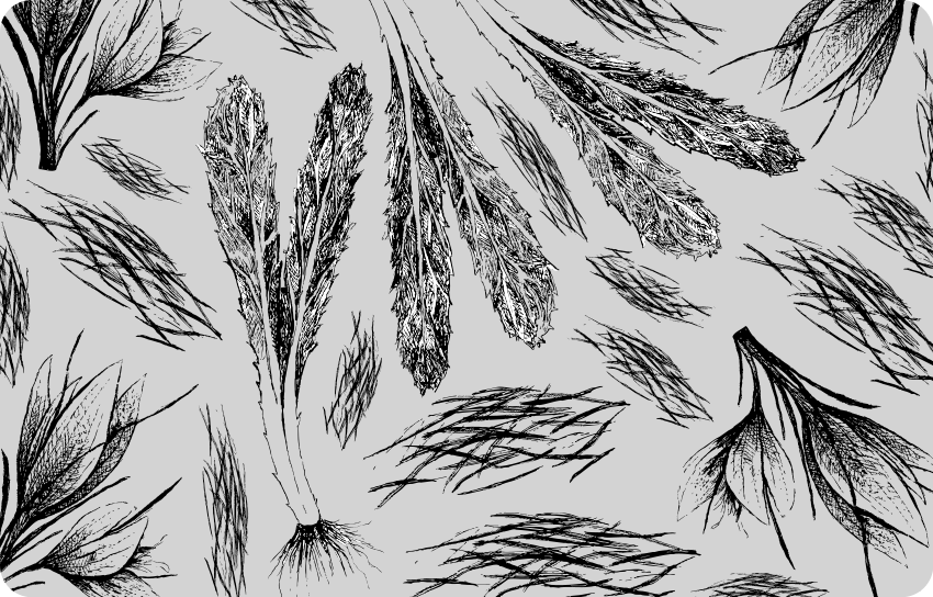 Sušené květiny ručně tažené kůže notebooku - TenStickers