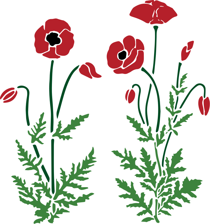 Pair of poppy plants flower wall decal - TenStickers