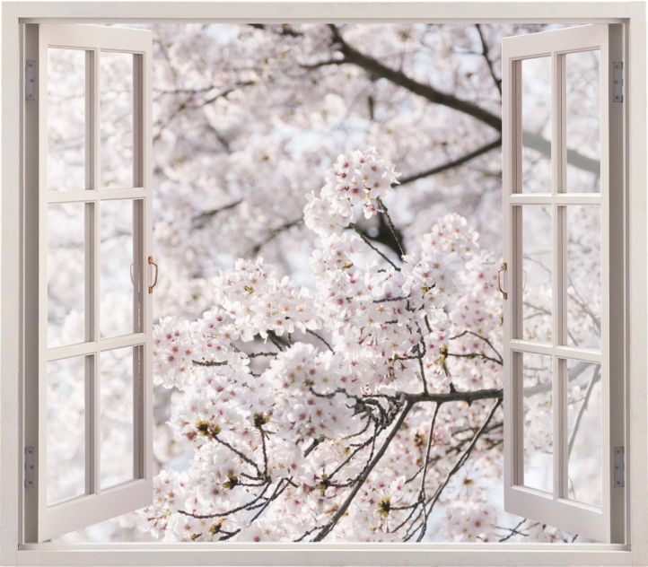 春の白い木の花の壁の装飾への3dビュー - TENSTICKERS