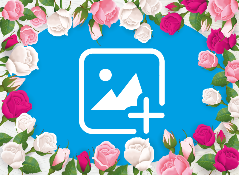 Vinilo para salón Marco de fotos blanco y rosas - TenVinilo