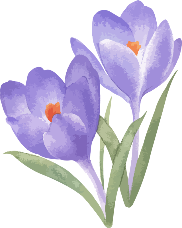 Violetit ja vihreät kukat kukkatarra - Tenstickers