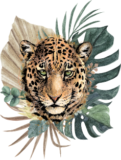 Sticker Muursticker Jaguars - jaguar dans les hautes herbes - 40x60 cm -  film adhésif