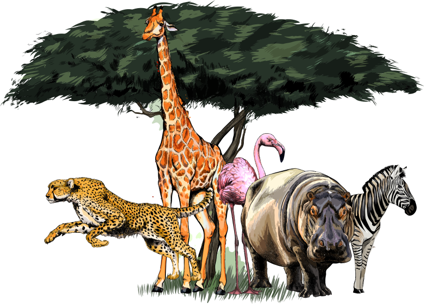 Flerfarvet jungle dyr vilde dyr klistermærker - TenStickers