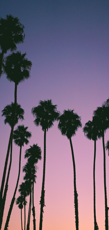 보라색 해변 화웨이 스티커 - TenStickers