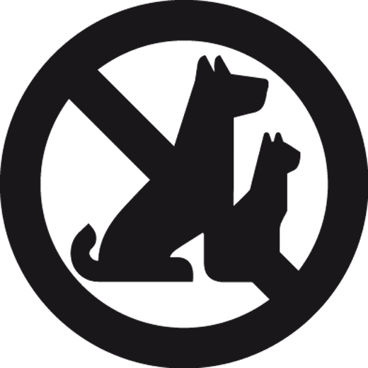 No Animals Allowed Window Sticker - TenStickers
