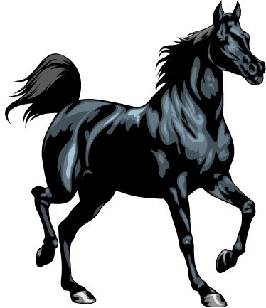 Featured image of post Cavalo Preto Cabe a De Cavalo Desenho Colorido Desenhos similares a cabe a de cavalo