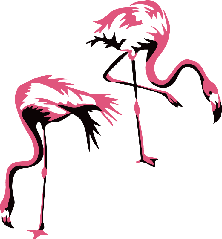 černá a růžová samolepka na plameňáky - TenStickers