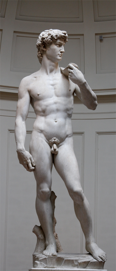 Autocolant frigider, david michaelangelo - TenStickers