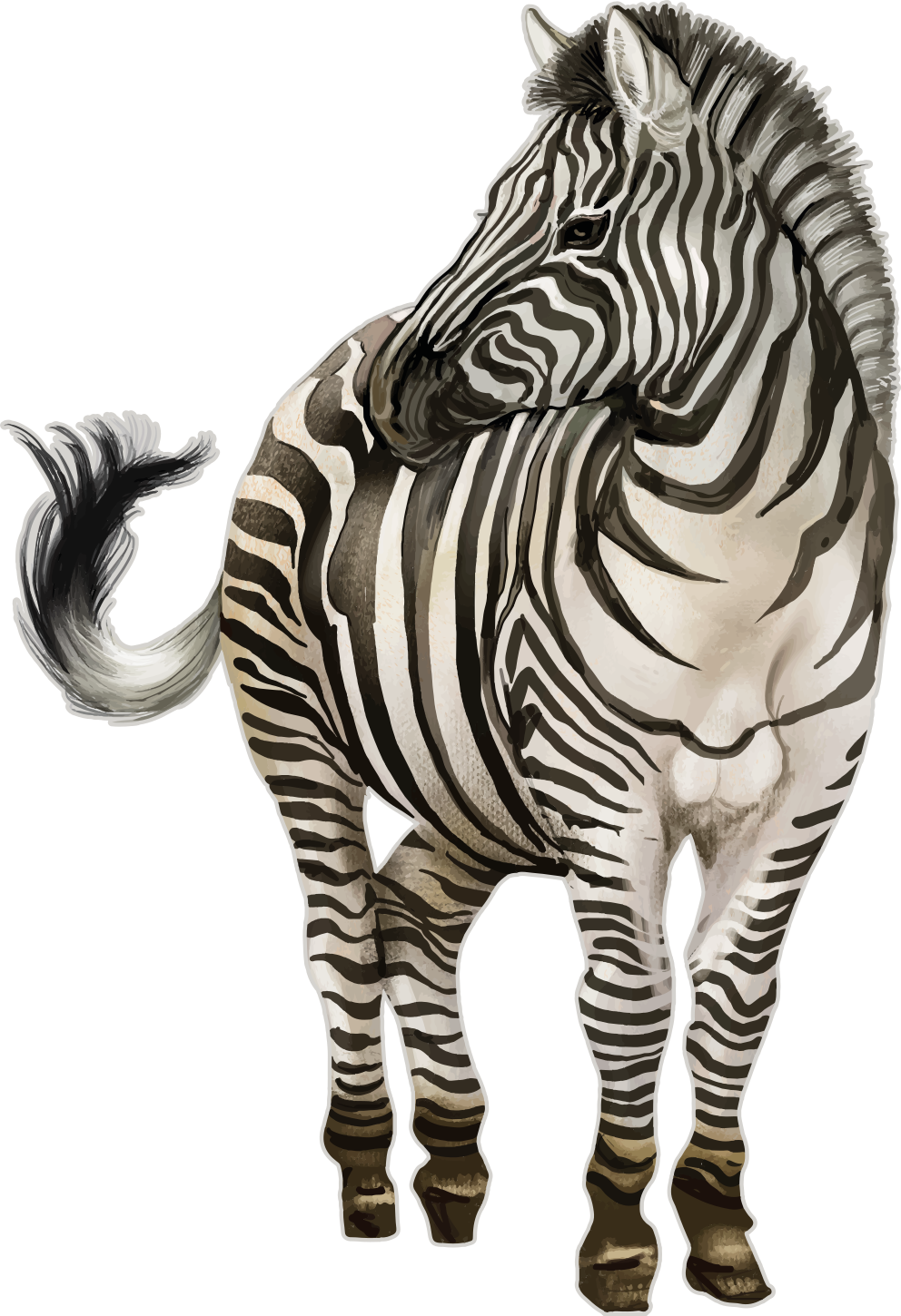 Seepran muotokuva Villieläintarra - Tenstickers