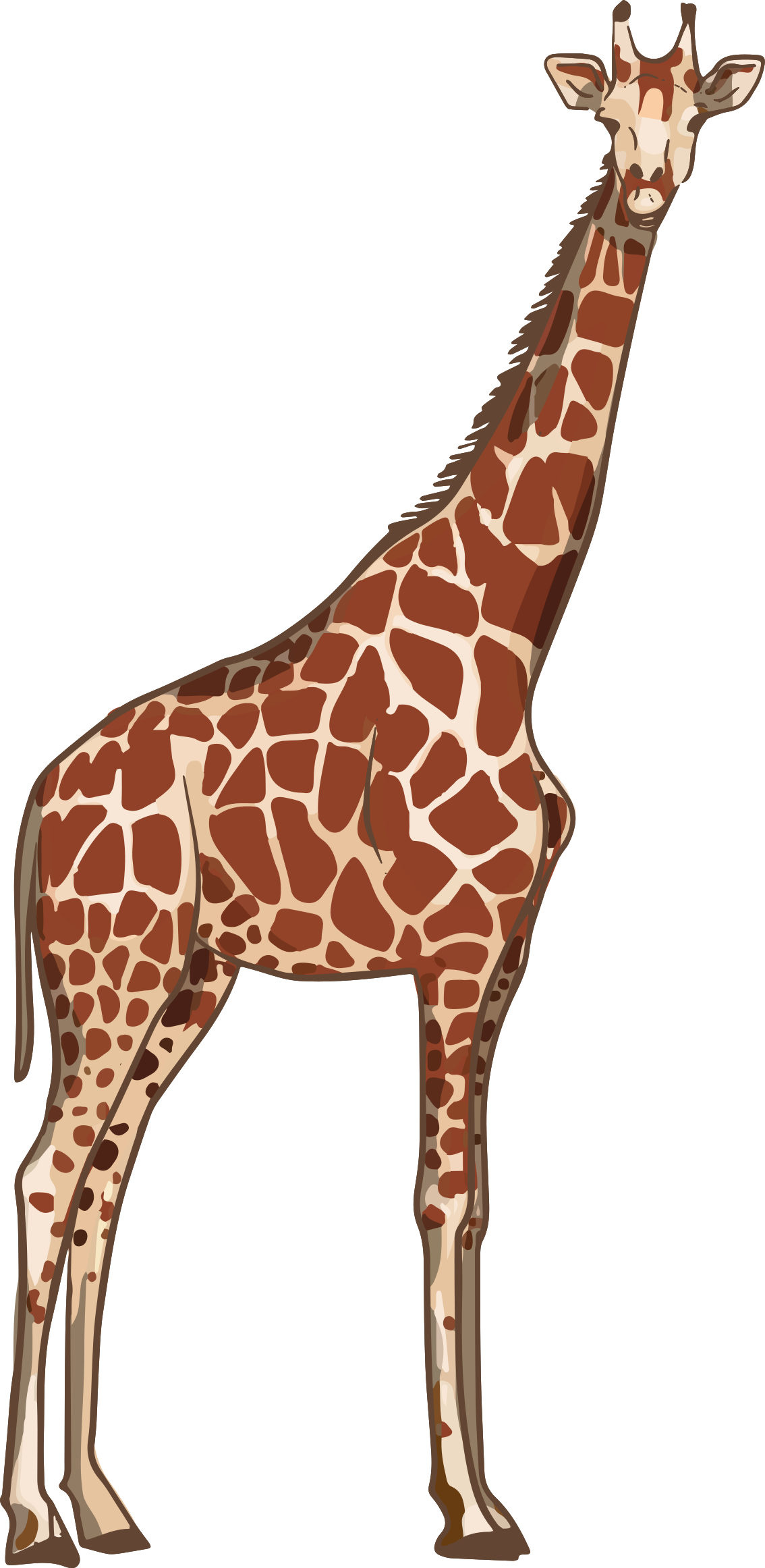 Onnellinen kirahvi muotokuva Villieläintarra - Tenstickers