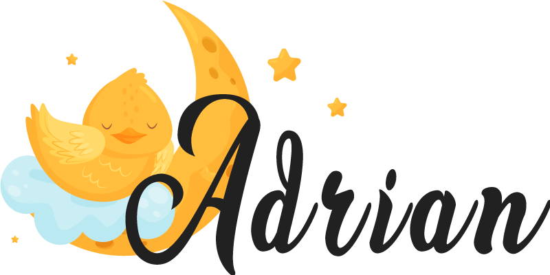 별과 이름 데칼과 함께 달에 병아리 - TenStickers