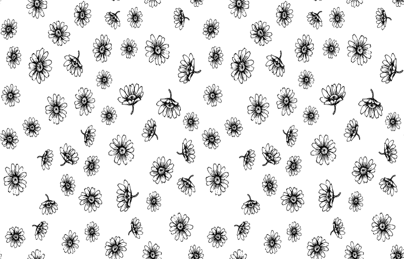 Autocolante para PC Definir contorno de flores margaridas - TenStickers