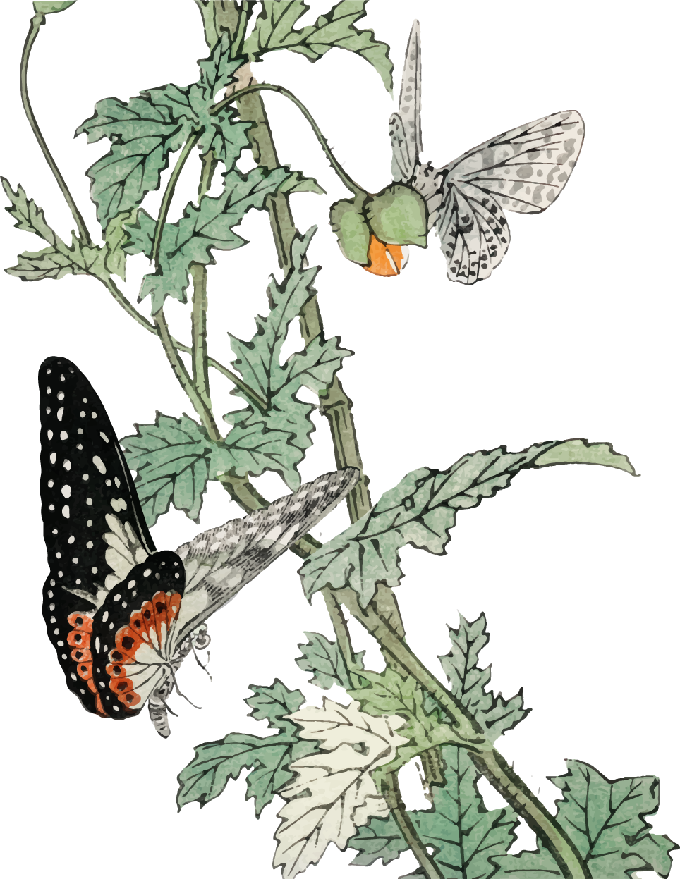 Hanging tropical plants with butterflies animal wall decal TenStickers