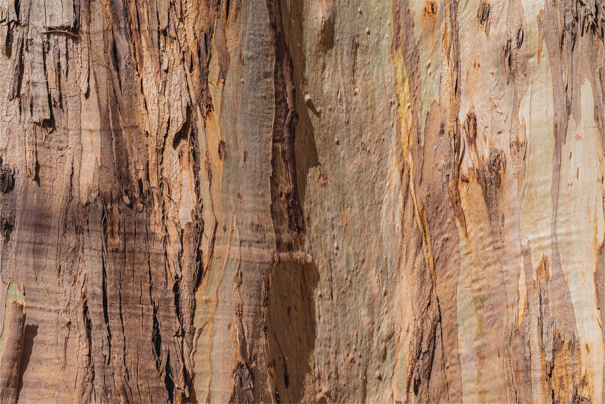 коричневая текстура коры дерева наклейка для мебели - TenStickers