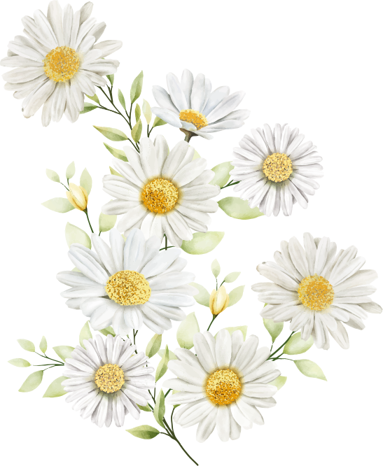 Elegant daisies wall sticker - TenStickers