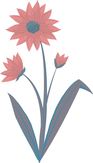 Rosa blomster veggoverføringsbilde - Tenstickers