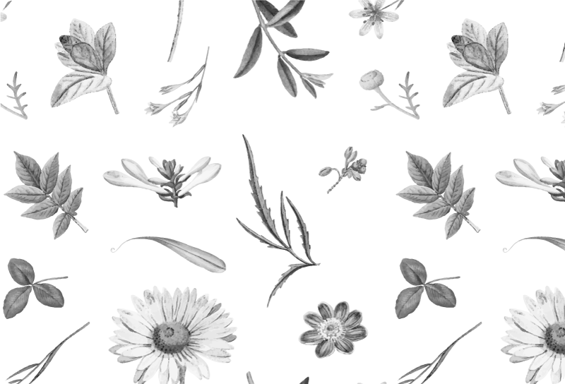 Vinilo para portátiles Flores de sprint gris - TenVinilo