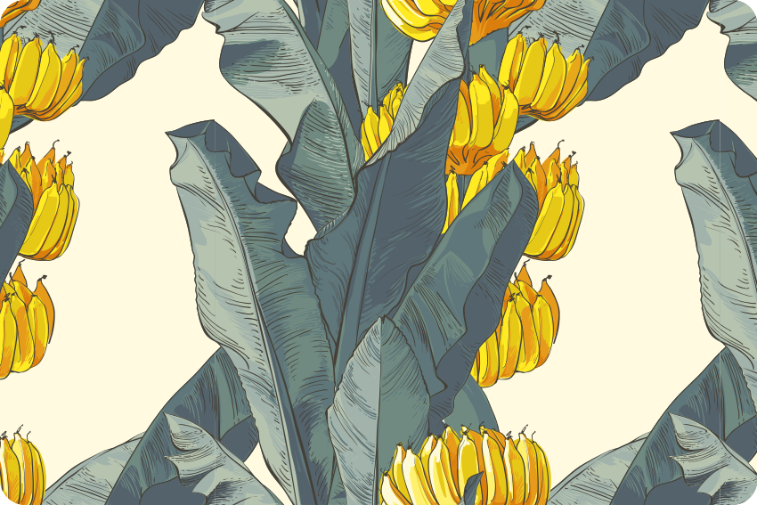Bananų medžio meninio modelio nešiojamojo kompiuterio odos - „Tenstickers“