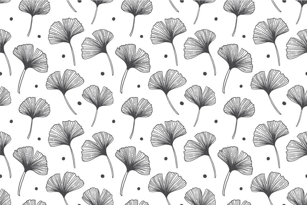 Adhésif meuble feuilles de ginkgo fond blanc - TenStickers