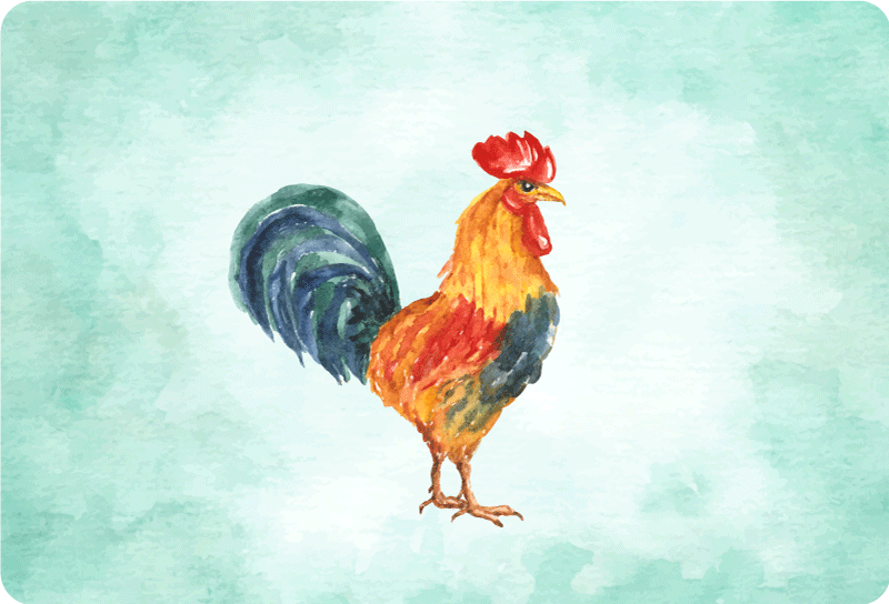 笔记本电脑皮肤 色彩鲜艳的公鸡艺术作品 - TenStickers