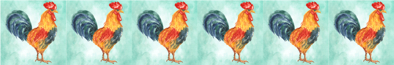 élénk kakas motívum határok matrica - TenStickers