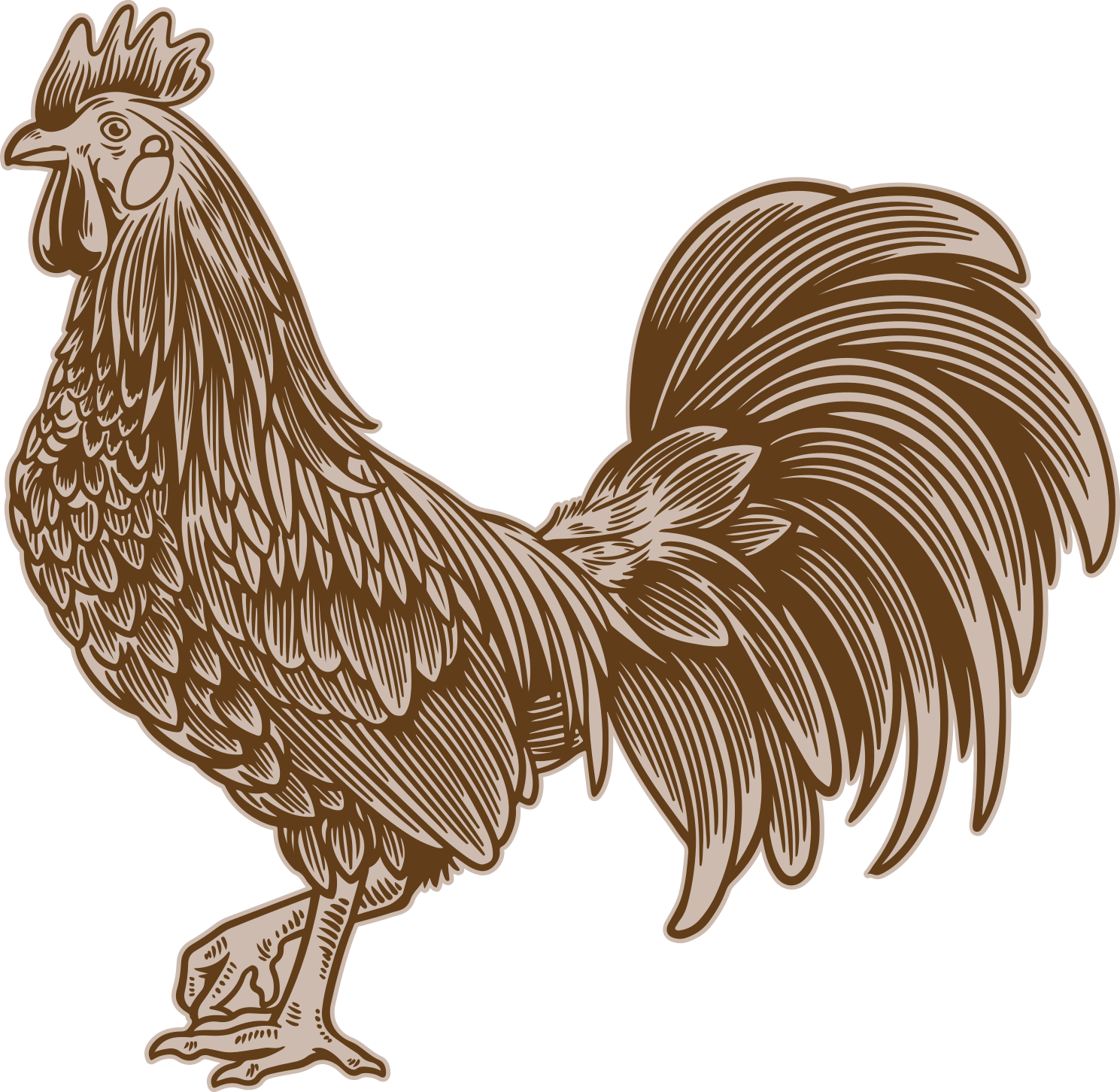 Sticker Cuisine Illustrations vintage de coq - TenStickers