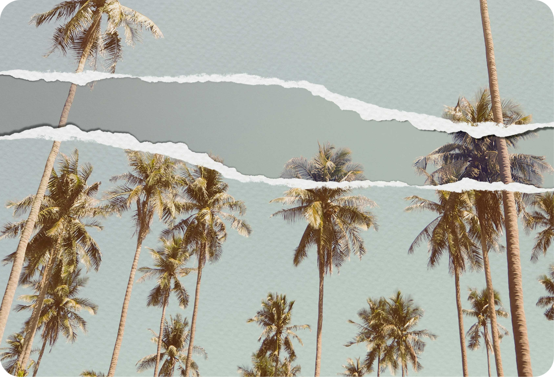 노트북용 스킨 열대 야자수 풍경 - TenStickers