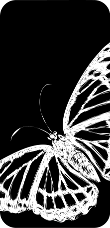 Autocollant pour ordinateur portable aile de papillon noir et bla - TenStickers