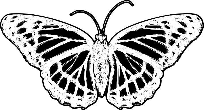 Kliko sticker zwart-witte vlindervleugel - TenStickers