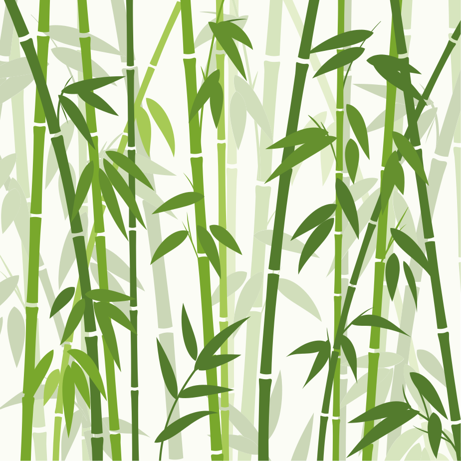 🥇 Vinilos mamparas plantas bambú acuarela 🥇