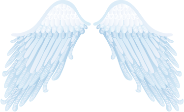 天使の羽壁アートデカール Tenstickers