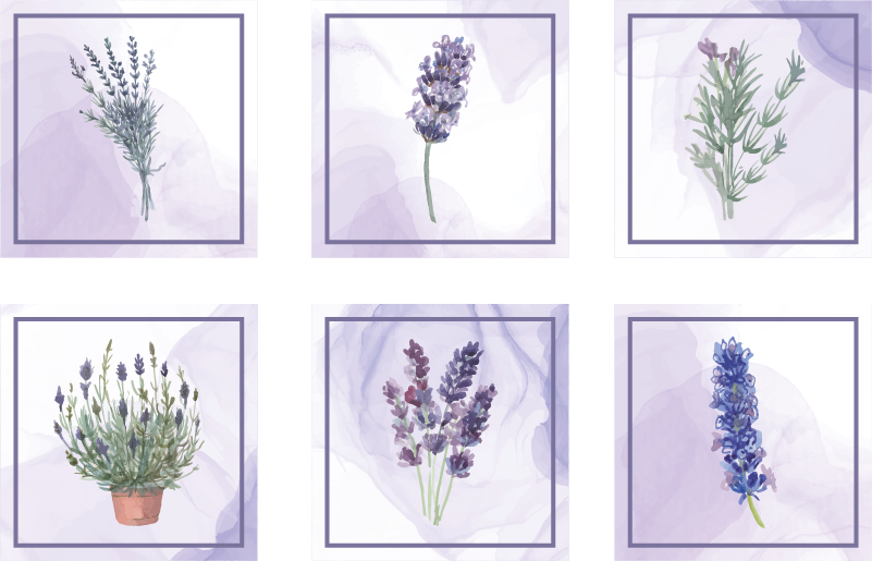 Sticker cuisine - Carrelage adhésif motifs provençaux - TenStickers