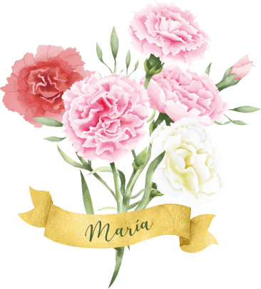 Vinilo de claveles personalizable - TenVinilo