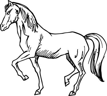 馬の絵の壁アートステッカー Tenstickers