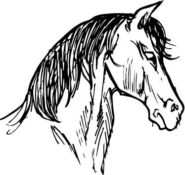 Cavalo desenho colorido  Arte de fazenda, Desenhos de animais