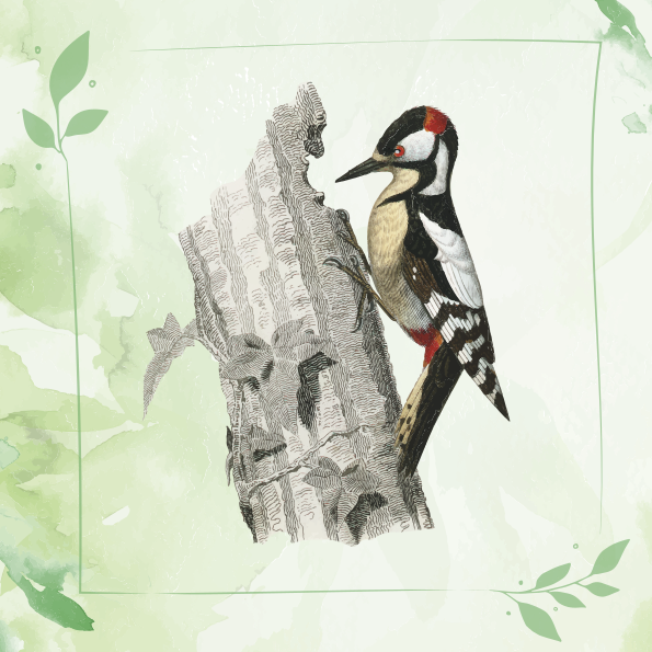 Azulejos adhesivo de picatroncos - TenVinilo