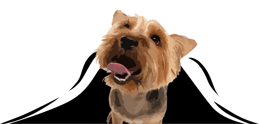 Pegatina para coche 3D Yorkshire - TenVinilo