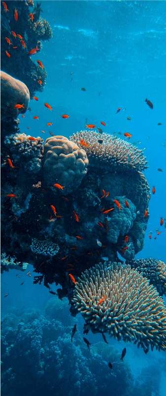 Vinilo lámina para puerta paisaje marino - TenVinilo