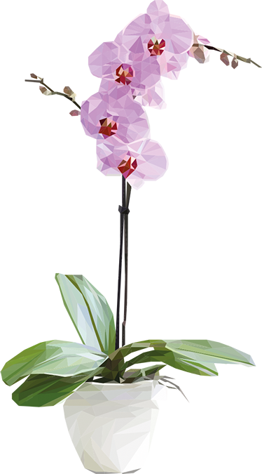 Vinil decorativo vaso com orquídea - TenStickers