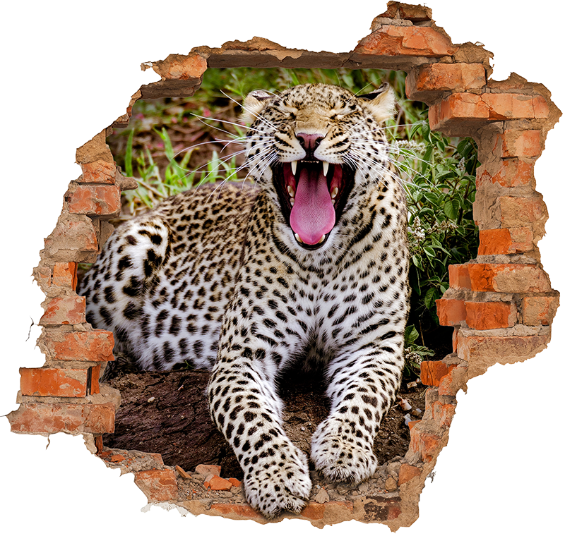 Cheetah hole wall wild animal decal - TenStickers