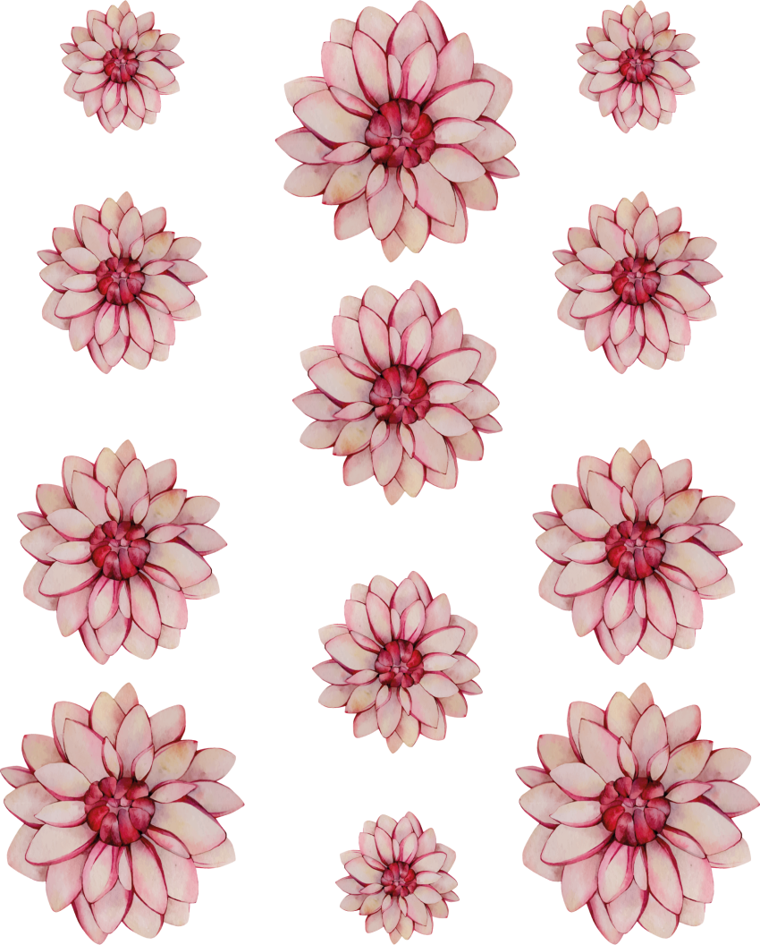 Fiets sticker roze dahlia bloemen - TenStickers